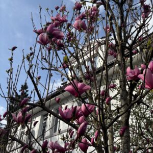 Zwischen Unsicherheit und Potenzial: Was (junge) Menschen wirklich stärkt